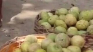 যে পাকা বেল থেকে সরবত তৈরি হয়, কীভাবে তা পাকানো হয়, সে সব কথা অনেকেরই অজানা যে পাকা বেল থেকে সরবত তৈরি হয়, কীভাবে তা পাকানো হয়, সে সব কথা অনেকেরই অজানা