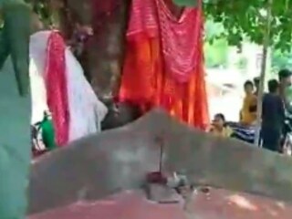 বিয়ে দেওয়া হয়েছে বট ও অশ্বত্থ গাছের মধ্যে