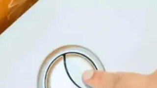 শুধু সৌন্দর্য নয়৷ জানেন কি এর পিছনে অন্য কারণও আছে