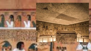 ১৭৬৯ খ্রিস্টাব্দে স্প্যানিয়ার্ডদের হাত ধরে এই ফল পাড়ি দেয় আমেরিকায়