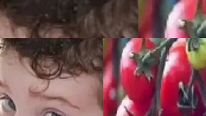 Tomato Flu Tomato Flu