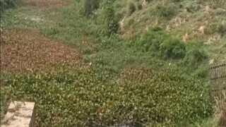 Behula River Behula River