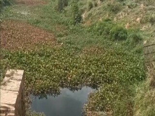Behula River