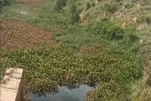 অতীতের স্রোতস্বিনী বেহুলা নদী দিয়ে আজ বয়ে যায় কারখানার দূষিত জল