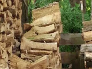 If you see the picture, this cat is really hard to find.

