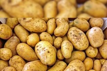 Potato Price Hike: āĻāϰāĻ āĻāĻĄāĻŧāĻŦā§ āĻāϞā§āϰ āĻĻāĻžāĻŽ, āĻāĻļāĻā§āĻāĻžāϰ āĻāĻĨāĻž āĻļā§āύāĻžāϞā§āύ āĻā§āώāĻ- āĻŦā§āϝāĻŦāϏāĻžāϝāĻŧā§āϰāĻž Potato Price Hike: āĻāϰāĻ āĻāĻĄāĻŧāĻŦā§ āĻāϞā§āϰ āĻĻāĻžāĻŽ, āĻāĻļāĻā§āĻāĻžāϰ āĻāĻĨāĻž āĻļā§āύāĻžāϞā§āύ āĻā§āώāĻ- āĻŦā§āϝāĻŦāϏāĻžāϝāĻŧā§āϰāĻž
