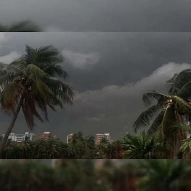 বিশেষ করে ঝাড়গ্রাম, পশ্চিম মেদিনীপুর, বাঁকুড়া, পুরুলিয়া, পশ্চিম বর্ধমান, বীরভূম, মুর্শিদাবাদ এবং নদিয়া, এই জেলাগুলিতে বজ্রবিদ্যুৎ-সহ বৃষ্টিপাতের সম্ভাবনা আছে।