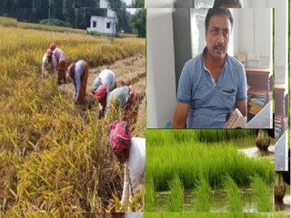 Know how crop insurance or sashya bima can help farmers