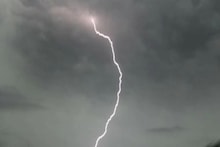 কালবৈশাখীতে লণ্ডভণ্ড কলকাতা,একাধিক রাস্তায় গাছ পড়েছে, বিঘ্ন ট্রেন-মেট্রো পরিষেবা