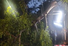 ৯০ কিলোমিটার আছড়ে পড়ল কালবৈশাখী, গাছ ভেঙে বিপত্তি সার্দান এভিনিউতে