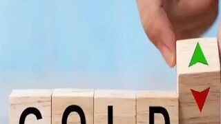 How Gold ETFs became retail investors' favorite in last two years