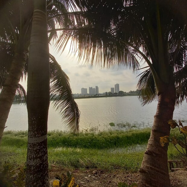  আগামী দুই ঘণ্টায় নদিয়ায় কালবৈশাখীর সর্তকতা রয়েছে ৷ বীরভূম এবং মুর্শিদাবাদ জেলার বেশ কিছু অংশেও ঝড়-বৃষ্টির পূর্বাভাস রয়েছে ৷ Representative Image