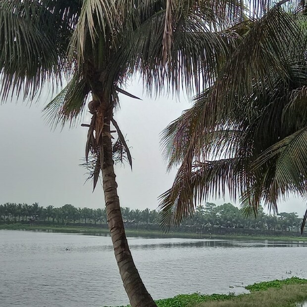 ঘূর্ণিঝড় হলে তার নাম হবে ‘অশনি’। আপাতত আবহাওয়াবিদরা মনে করছে এর অভিমুখ হতে পারে ওড়িশা উপকূল।