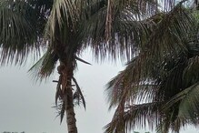 West Bengal Weather Update: রাজ্যজুড়ে বজ্রবিদ্যুৎ-সহ বৃষ্টির সম্ভাবনা, আগামী ক’দিন আবহাওয়া কেমন থাকবে? জেনে নিন West Bengal Weather Update: রাজ্যজুড়ে বজ্রবিদ্যুৎ-সহ বৃষ্টির সম্ভাবনা, আগামী ক’দিন আবহাওয়া কেমন থাকবে? জেনে নিন