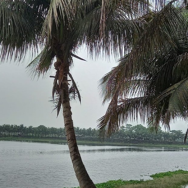 আগামী দু’দিন তাপমাত্রা সামান্য বাড়বে। বাতাসে জলীয় বাষ্প থাকায় অস্বস্তিও বাড়বে। দক্ষিণবঙ্গে বিক্ষিপ্তভাবে বজ্রবিদ্যুৎ-সহ বৃষ্টি চলবে। আগামী চার থেকে পাঁচ দিন বজ্রবিদ্যুৎ-সহ হালকা থেকে মাঝারি বৃষ্টি এবং সঙ্গে হালকা ঝোড়ো হাওয়া থাকবে। আগামী ২৪ ঘণ্টায় নদিয়া, মুর্শিদাবাদ, পূর্ব ও পশ্চিম বর্ধমান এবং বীরভূমে বজ্রবিদ্যুৎ-সহ বৃষ্টির সঙ্গে হালকা ঝড় হওয়ার সম্ভাবনা রয়েছে। বাকি জেলাতেও বজ্রবিদ্যুৎ-সহ হালকা-মাঝারি বৃষ্টির সম্ভাবনা রয়েছে। Representative Image
