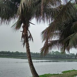 আজও কালবৈশাখীর পূর্বাভাস, ঝড়-বৃষ্টি চলবে আরও কতদিন ?
