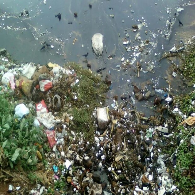 বিদেশ মাত্রই পরিষ্কার, এ ধারণা অনেকেরই রয়েছে৷ তবে জানেন কী অস্ট্রেলিয়ার কিছু দ্বীপে এমন প্লাস্টিক স্থুপাকার হয়েছে যা দেখে পাহাড় মনে হবে! এ ছাড়া একটি দ্বীপে ৪১৪ মিলিয়ন প্লাস্টিক সংগ্রহ করা হয়েছে, যার ওজন নীল তিমি মাছের সমান। কোকোস কিলিং নামের একটি অস্ট্রেলিয়ান দ্বীপে এই টুকরোগুলো সংগ্রহ করা হয়েছে।