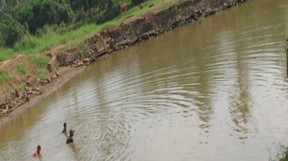 প্রতীকী ছবি প্রতীকী ছবি