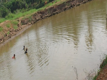 প্রতীকী ছবি