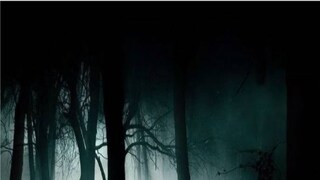 প্রতীকী ছবি। 