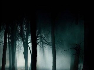 প্রতীকী ছবি। 