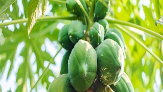 প্রতীকী ছবি প্রতীকী ছবি