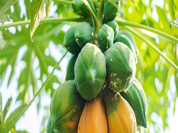 প্রতীকী ছবি