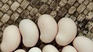 cashew eggs cashew eggs