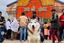 কেদারনাথে কেন পোষ্য কুকুর? ধর্মীয় ভাবাবেগে আঘাতের অভিযোগে এফআইআর যুবকের বিরুদ্ধে কেদারনাথে কেন পোষ্য কুকুর? ধর্মীয় ভাবাবেগে আঘাতের অভিযোগে এফআইআর যুবকের বিরুদ্ধে