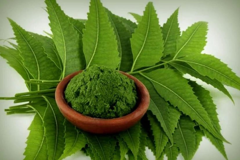 প্রক্রিয়া নাভিমূলে কয়েক ফোঁটা নিম তেল লাগান। প্রবেশের সুবিধার্থে নাভির চারপাশে ম্যাসাজ করুন। অতিরিক্ত তেল মুছে ফেলুন এবং ঘুমের জন্য এটি প্রয়োগ করুন। প্রতীকী ছবি