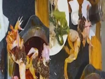 Viral Headless Frog
