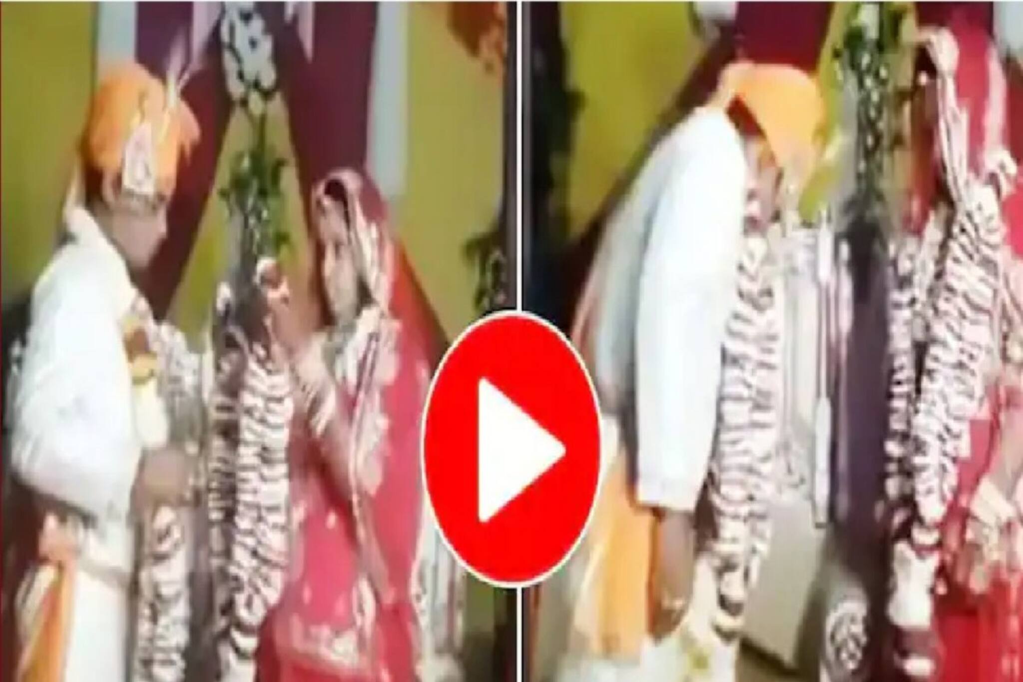 বিবাহ বাসরে তুলকালাম! মালাবদলে বরের প্যান্টে গেল খুলে, Video ঝড়ের গতিতে Viral..