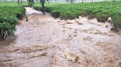 হড়পা বানে ভেসে গিয়ে মৃত্যু মা-মেয়ের হড়পা বানে ভেসে গিয়ে মৃত্যু মা-মেয়ের