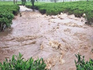 হড়পা বানে ভেসে গিয়ে মৃত্যু মা-মেয়ের