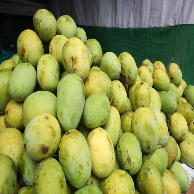 হিমসাগর-- হিমসাগর পশ্চিমবঙ্গের একটি বিখ্যাত আম। বাংলাদেশের রাজশাহী, চাঁপাইনবাবগঞ্জ ও সাতক্ষীরা জেলাতেও এই আমের চাষ হয়। এই আমের মিষ্টি সুগন্ধ ও স্বাদ পৃথিবীর অন্যান্য আমের থেকে ভিন্ন। তাই সারা পৃথিবীতে স্বাদ ও গন্ধের জন্য এই আম বাণিজ্যিক ভাবে প্রচুর পরিমাণে চাষ করা হয়। হিমসাগর আম এতই জনপ্রিয় যে, এই আমকে আমের রাজা বলা হয়। এই আমের ভিতরের রং হলুদ-কমলা এবং কোন আঁশ নেই। প্রচুর পরিমাণে চাষের কারণেই এর নাম সম্ভবত সাগরের সঙ্গে মিলিয়ে রাখা হয়েছে। 