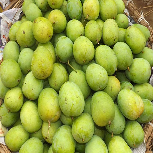 ল্যাংড়া-- মুঘল আমলে দ্বারভাঙায় এই প্রকারের আম চাষ শুরু হয়। কিন্তু তখন কেউ এর নাম নিয়ে মাথা ঘামায়নি। পরে আঠারো শতকে এক ফকির খুব সুস্বাদু এই আমের চাষ করেন। সেই ফকিরের পায়ে কিছু সমস্যা ছিল। সেই থেকেই নাকি ওই আমের নাম হয়ে যায় 'ল্যাংড়া'।