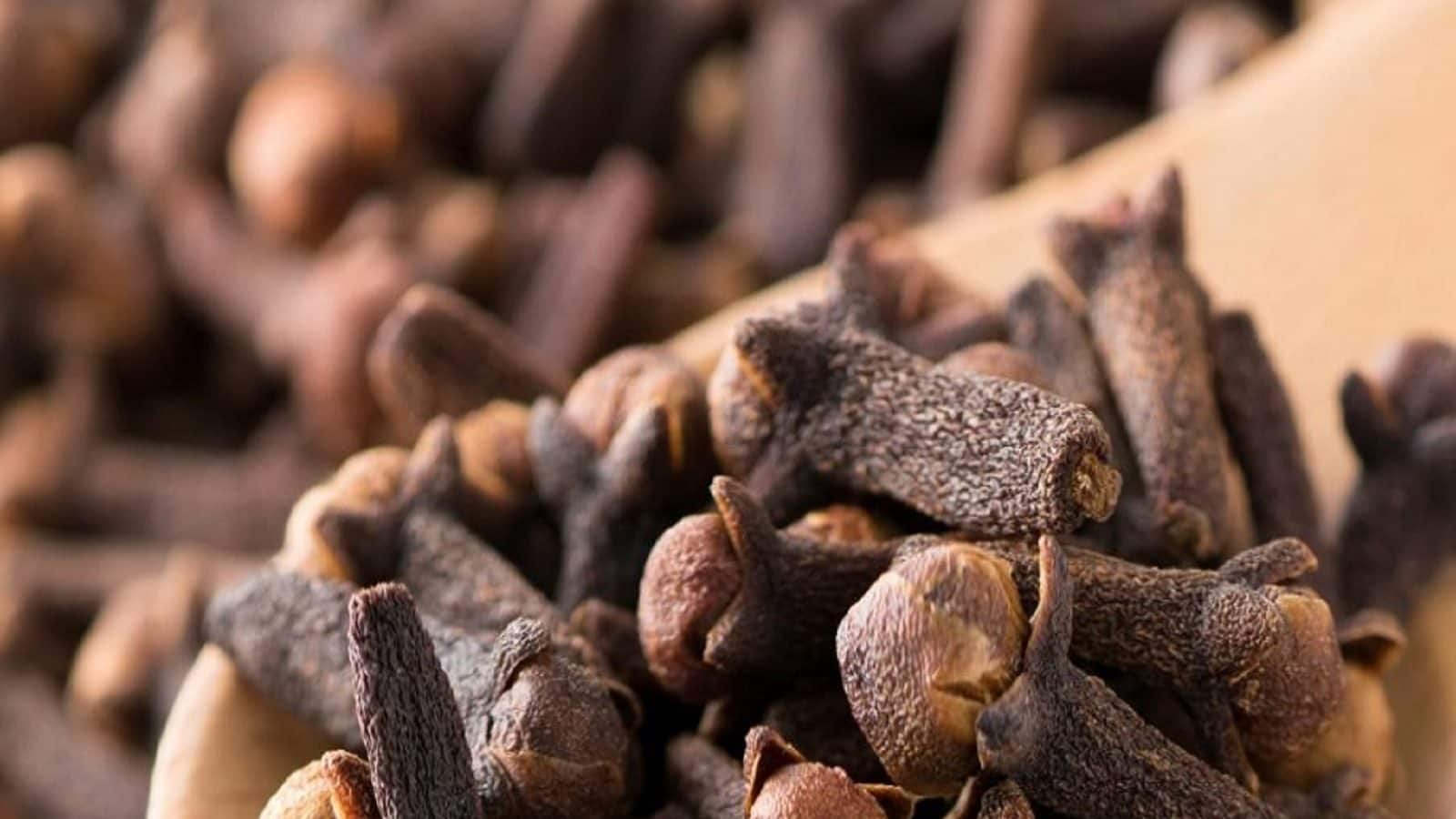 Health Benefits Of Clove লুকিয়ে রয়েছে রান্নাঘরের তাকেই, এই মশলার