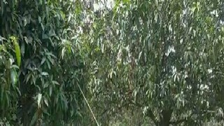 প্রতীকী চিত্র