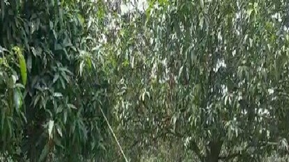 প্রতীকী চিত্র প্রতীকী চিত্র