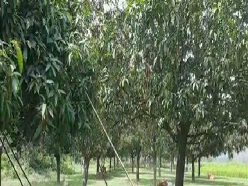 প্রতীকী চিত্র