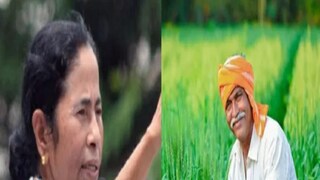 মুখ্যমন্ত্রীর উদ্যোগ