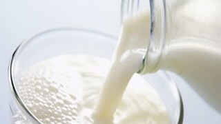 কাঁচা দুধেই বাজিমাত