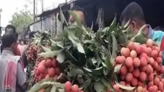 অশনি আসছে ধেয়ে! লিচু-চাষীদের উপরেও কোপ, মাথায় হাত কৃষকদের