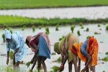 প্রতি মাসে মিলবে ৩ হাজার টাকা পেনশন, পিএম কিষান সুবিধাভোগীরা এই ভাবে নিতে পারবেন