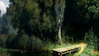 প্রতীকী ছবি। 