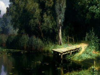 প্রতীকী ছবি। 