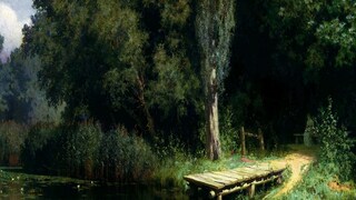 প্রতীকী ছবি। প্রতীকী ছবি।