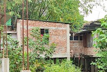 নদীর চর চুরি! উত্তরবঙ্গে জমি মাফিয়াদের কাণ্ড শুনলে অবাক হয়ে যাবেন