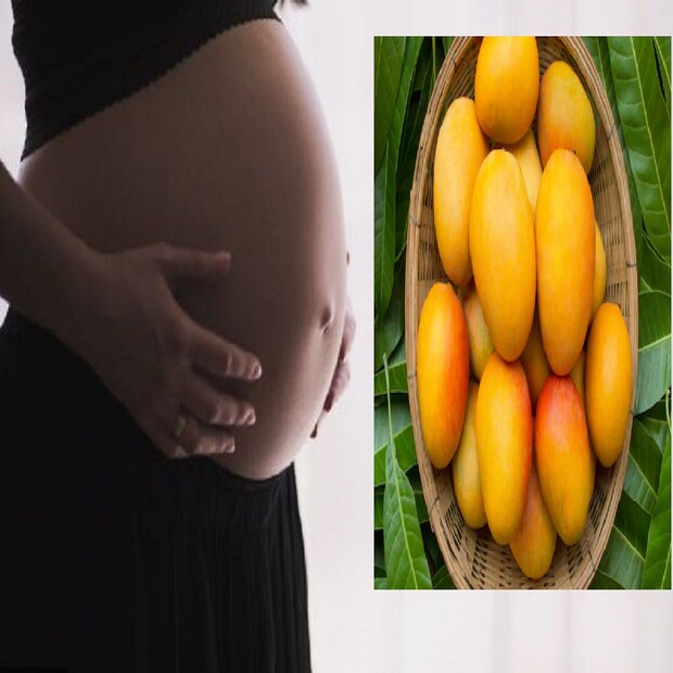 *গর্ভাবস্থায় মহিলাদের খাদ্যাভ্যাসের যত্ন নেওয়া জরুরি। প্রেগন্যান্সিতে বেশ কিছু ফল খাওয়ায় নিষেধাজ্ঞা থাকে৷ আধুনিক চিকিৎসা বিজ্ঞান যদিও এই নিয়ম মানে না৷ তবুও ঘরোয়া ভালে যে রীতি চলে আসছে, তা মানেন সব সন্তানসম্ভবারা৷ তবে সেই তালিকা থেকে কি মুক্ত আম? দেখে নেওয়া যাক৷  গর্ভবতী মহিলাদের জন্য আম বিশেষ উপকারি বলেই বিবেচিত৷   