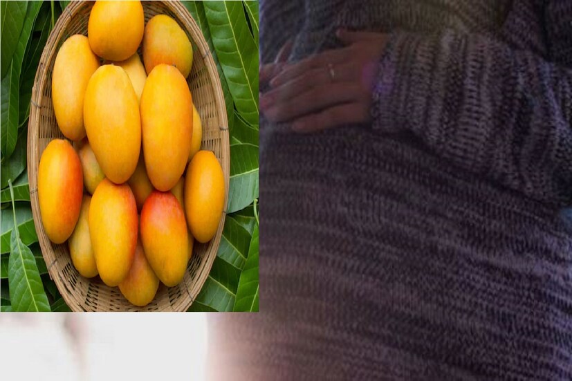  *আম খেলে রোগ প্রতিরোধ ক্ষমতা বাড়ানো যায়। যা গর্ভাবস্থায় খুবই প্রয়োজনীয়৷ 